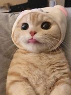 手机停机2个月后进入欲销号状态,然后进入销号状态,手机停机3个月后系统就会自动注销。