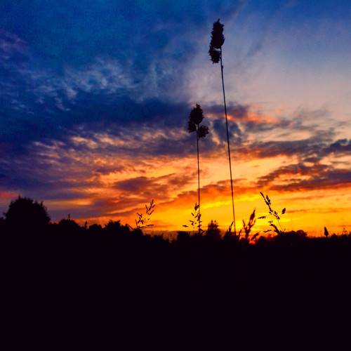 手机号码 添加区域代码前缀,也是美国采取的临时解决方案。当地政府预计,美国现有的 10 位数号码会在 2025 年左右消耗完毕。